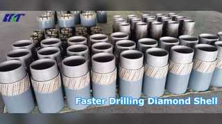 Diamanten ruimende schelpen verhogen de verkenningssnelheid